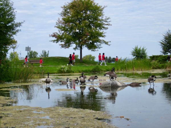 Fundraising Walk (2025)